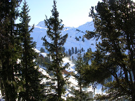 Chalet Bruyere Balcony